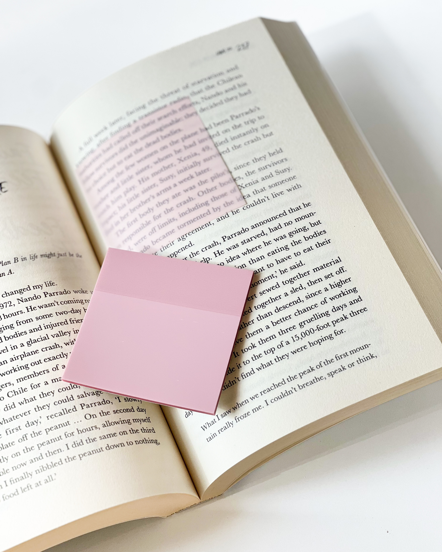 Pastel Pink Transparent Sticky Note