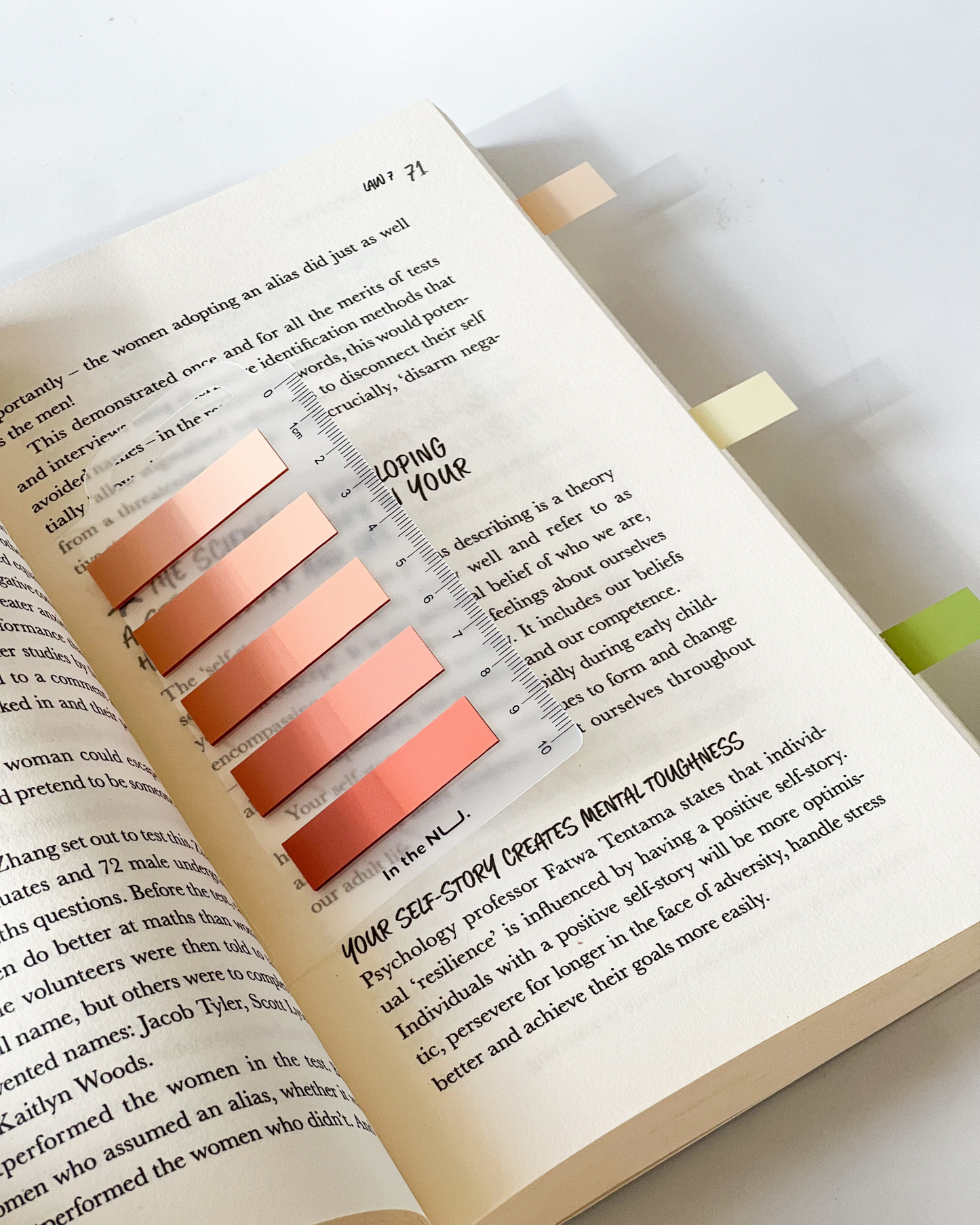Terracotta Index Tabs
