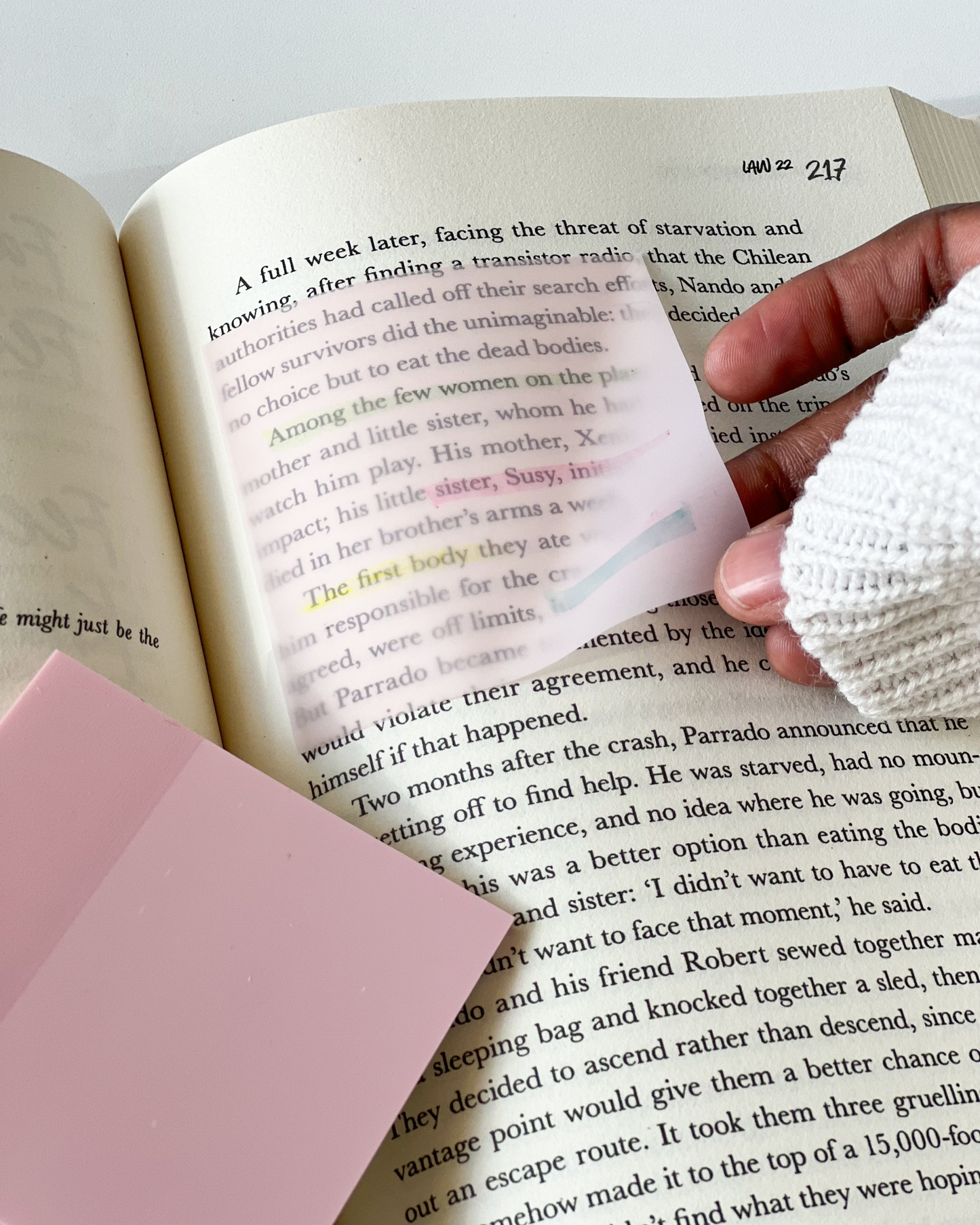 Pastel Pink Transparent Sticky Note